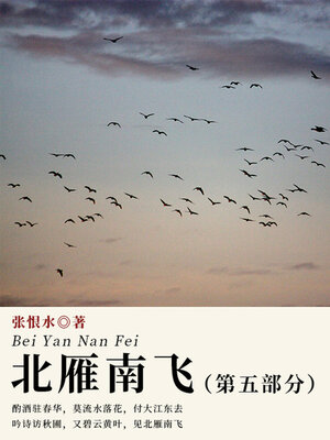 cover image of 北雁南飞·第五部分（张恨水经典小说）